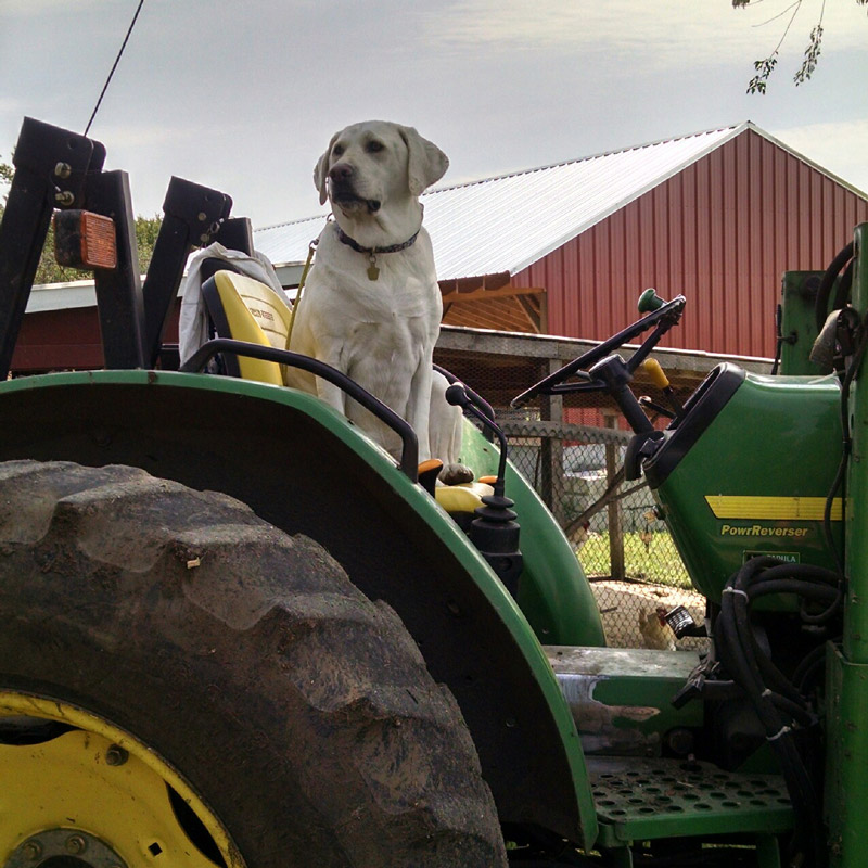 Zoey at Winsky Farm